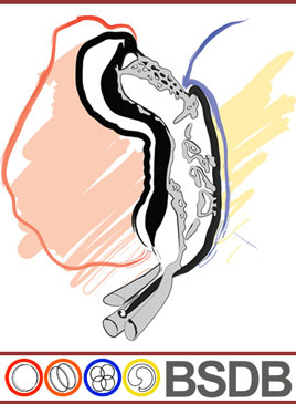 EEI meeting logo