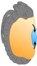 Tribolium late EED